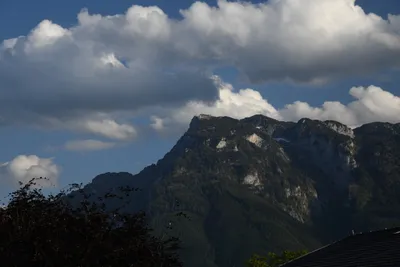 DSC_6054 (Large).JPG